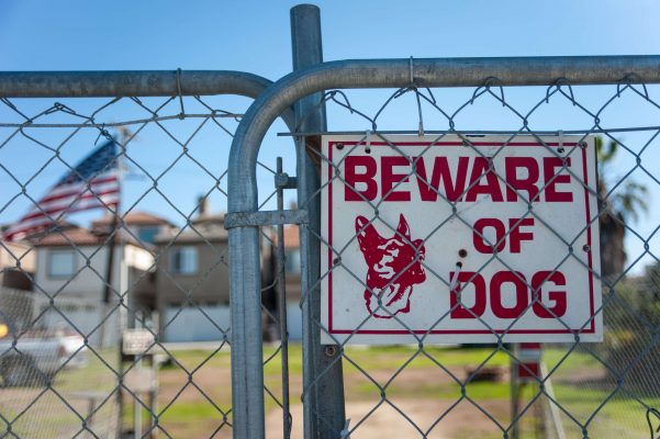 Learn more about a Pennsylvania dog bite case